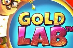 Gold Lab